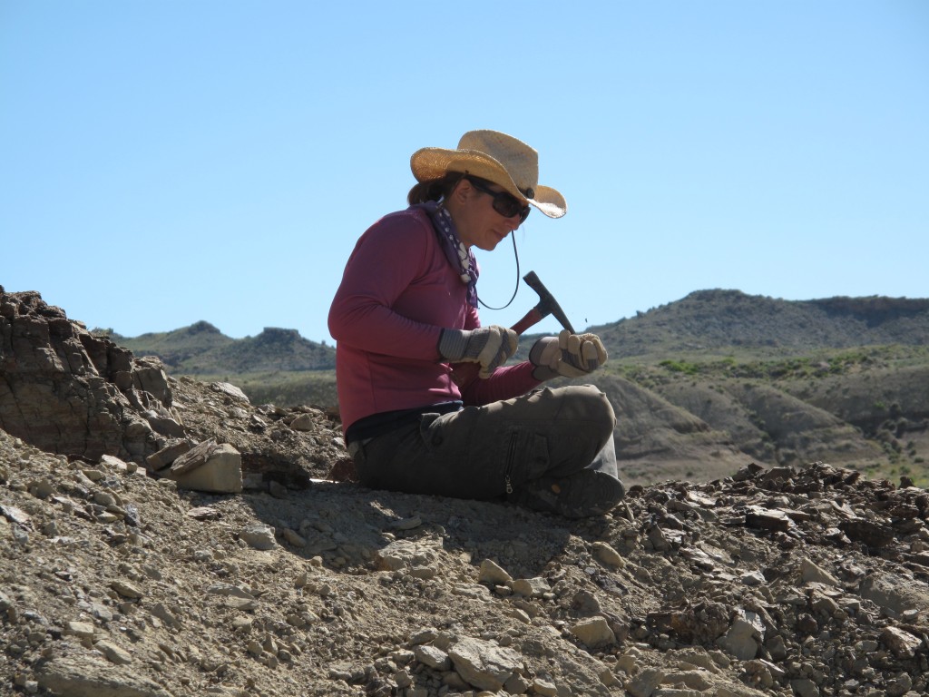 Field paleontologist