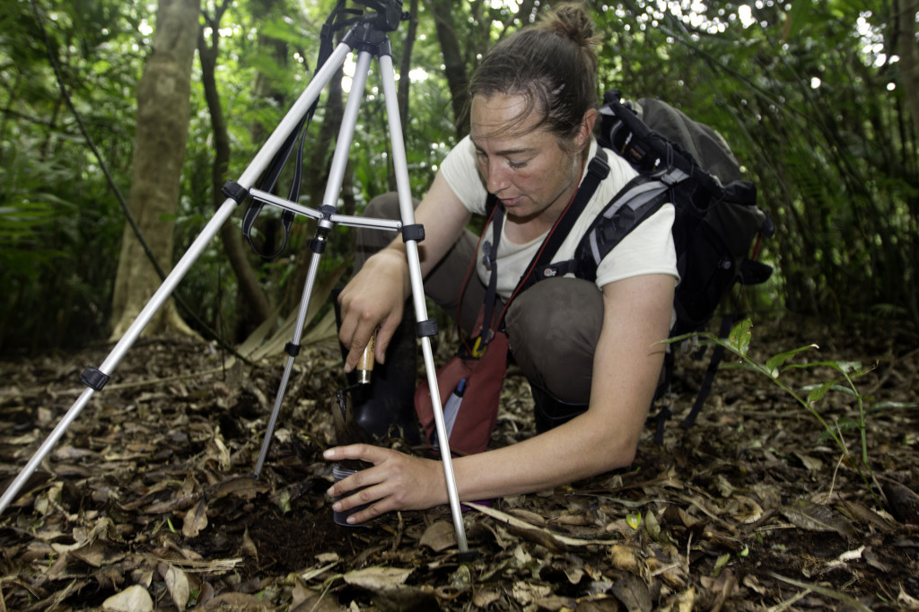 Geology & Paleontology Collections Manager, UW Burke Museum PhD from University of Washington, MS from University of Wyoming, BS from Colorado State University Field sites past & present: Wyoming, Colorado, Oregon, Washington, Alaska, Argentina, Brazil, Costa Rica, Ecuador