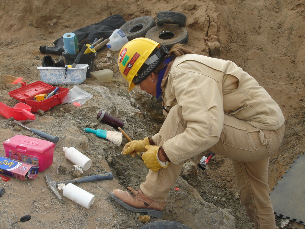 Dr. Kelli Trujillo Manager of the University of Wyoming Geological Museum Paleontologist & Geologist at Uinta Paleontological Associates, Inc. PhD and MS from University of Wyoming, BA from Western State College Field sites past & present: Wyoming, Colorado